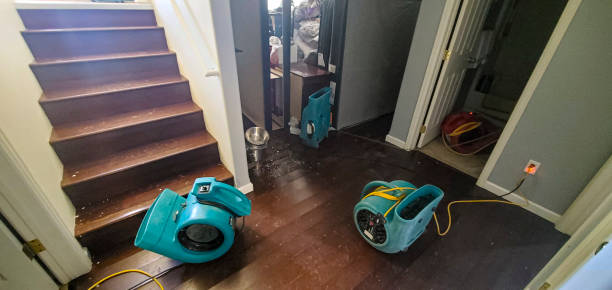Best Ceiling water damage repair  in Brookside Village, TX