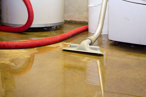 Best Mold removal after water damage  in Brookside Village, TX